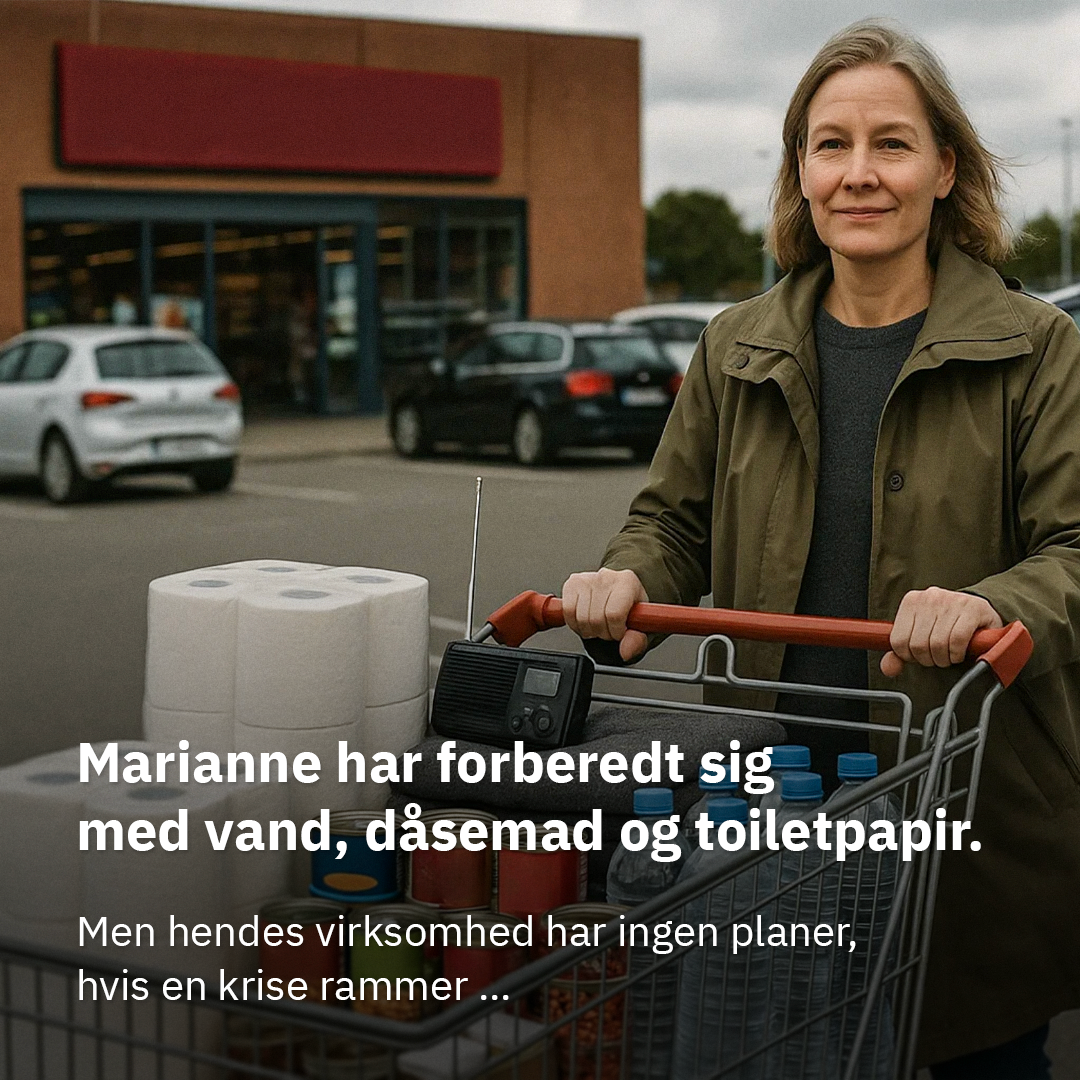 Erhvervshuse Cybersikkerhed case preview